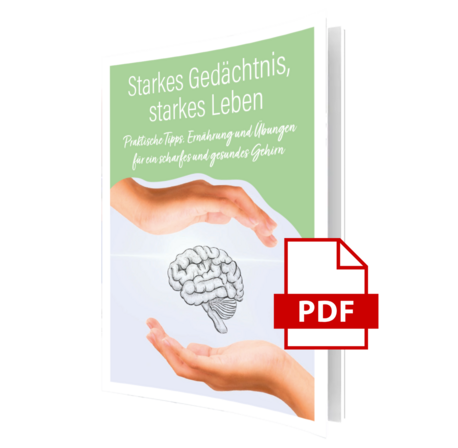 PDF-Cover mit dem Titel ‚Starkes Gedächtnis, starkes Leben – Praktische Tipps: Ernährung und Übungen für ein scharfes und gesundes Gehirn‘. Auf dem Cover sind zwei Hände abgebildet, die ein gezeichnetes Gehirn schützend umrahmen. Rechts unten ist ein rotes PDF-Symbol zu sehen.